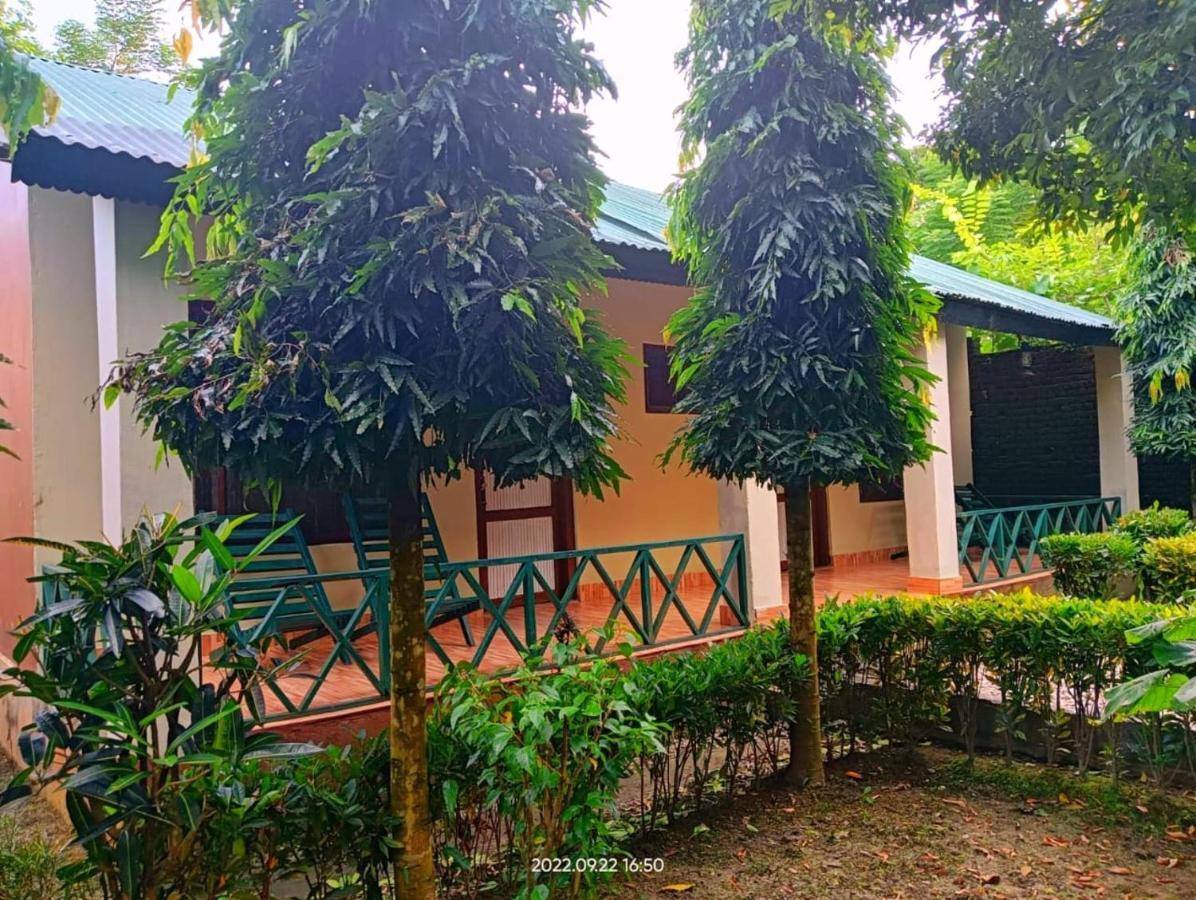 Hotel Butterfly - Peaceful Garden For Nature Lovers Sauraha Zewnętrze zdjęcie