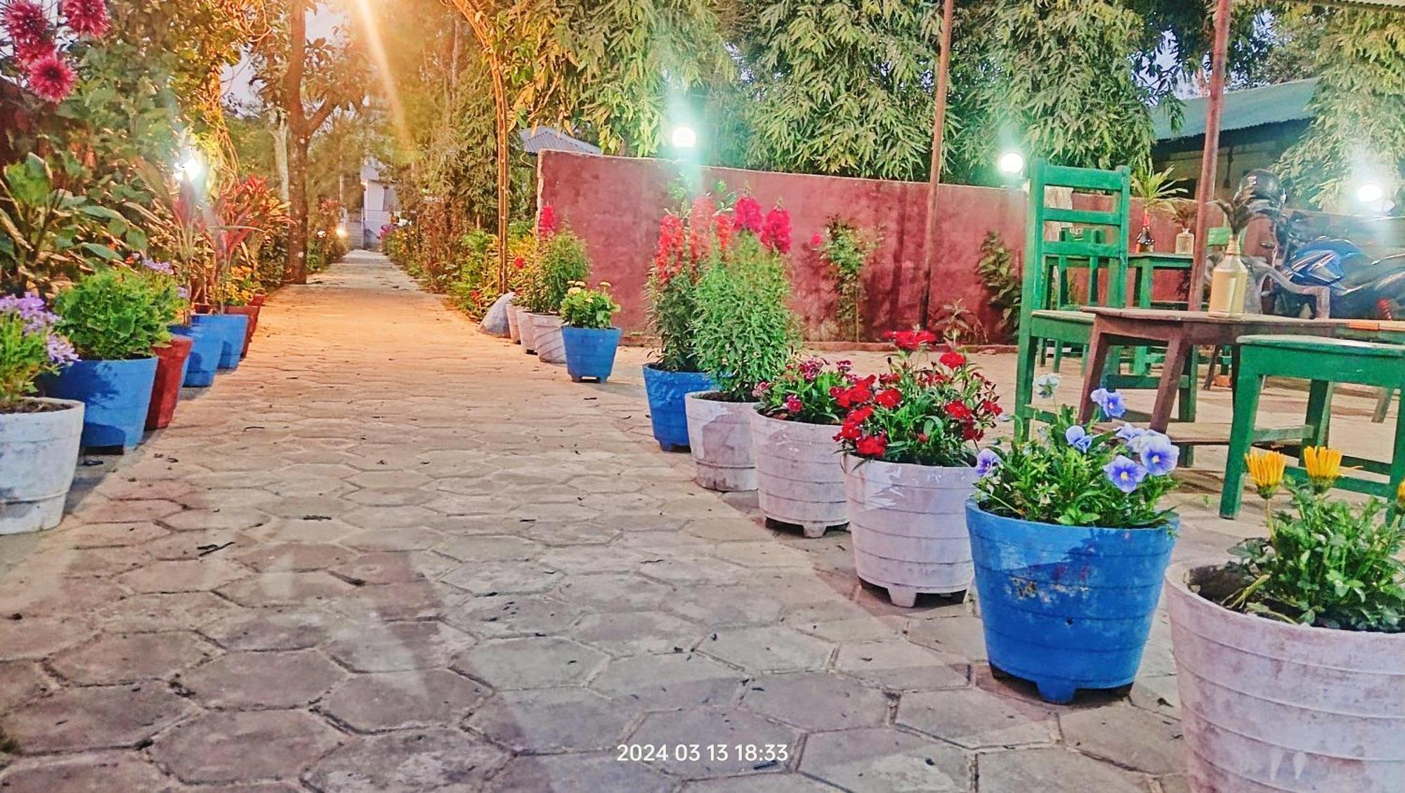 Hotel Butterfly - Peaceful Garden For Nature Lovers Sauraha Zewnętrze zdjęcie