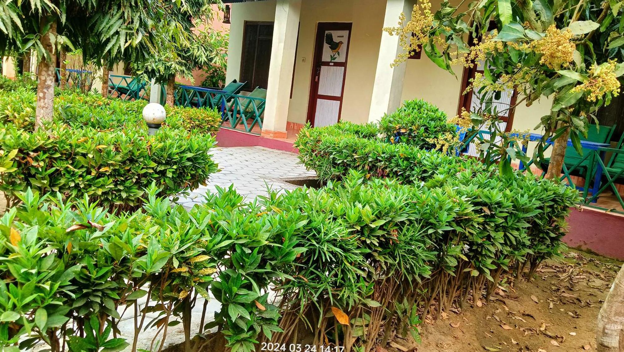 Hotel Butterfly - Peaceful Garden For Nature Lovers Sauraha Zewnętrze zdjęcie