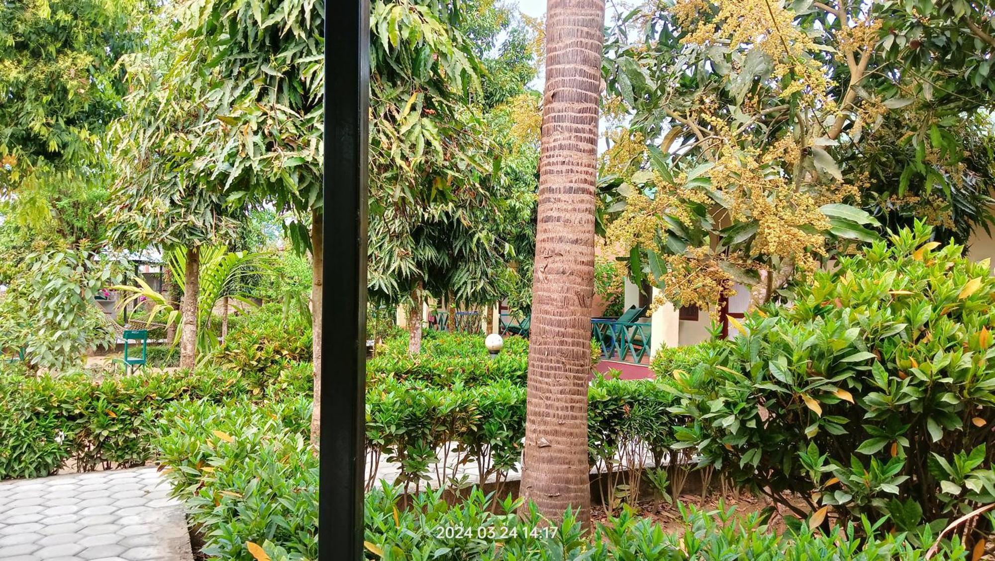 Hotel Butterfly - Peaceful Garden For Nature Lovers Sauraha Zewnętrze zdjęcie
