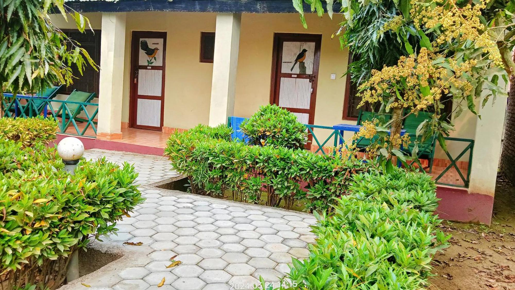 Hotel Butterfly - Peaceful Garden For Nature Lovers Sauraha Zewnętrze zdjęcie