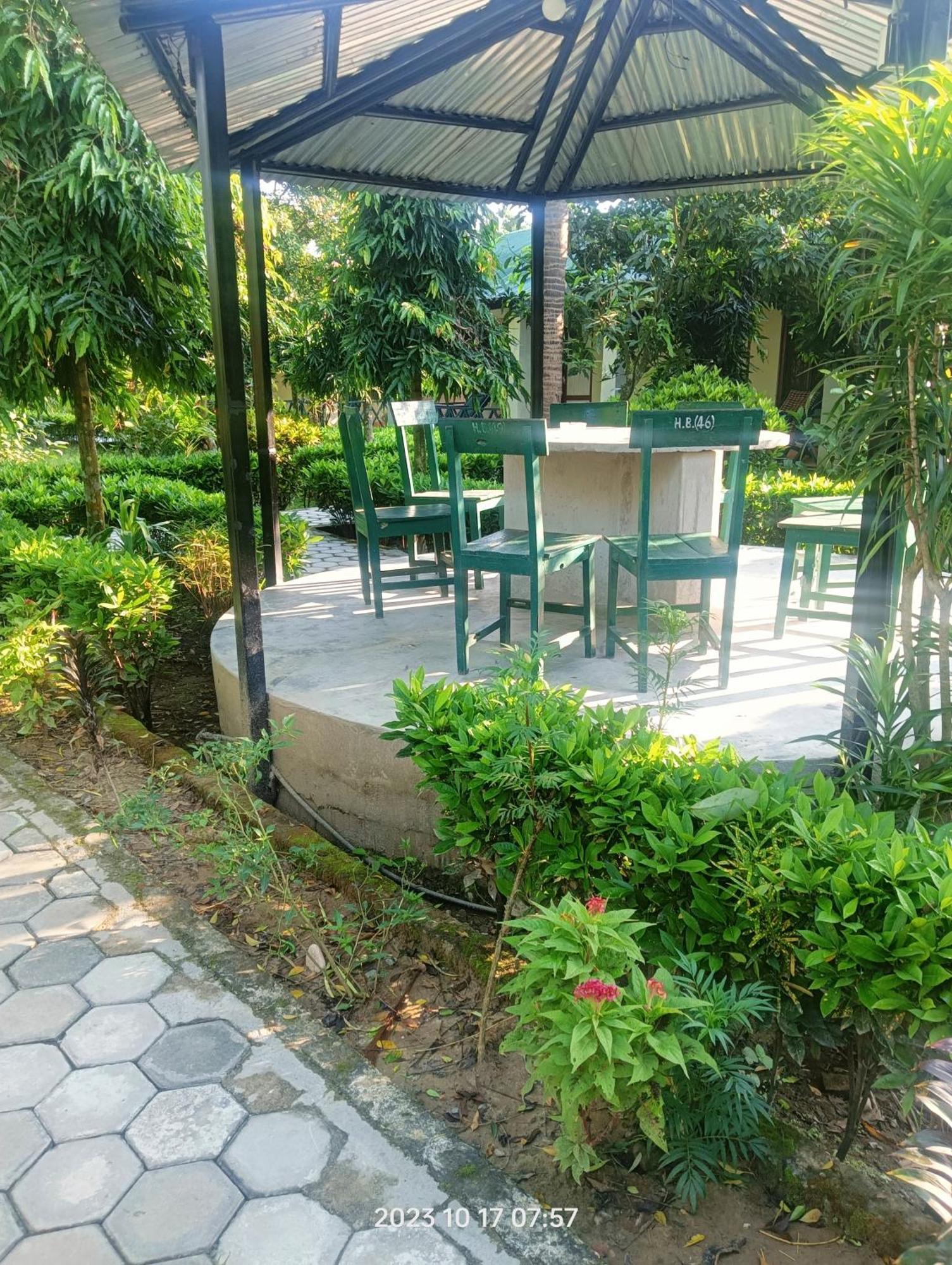 Hotel Butterfly - Peaceful Garden For Nature Lovers Sauraha Zewnętrze zdjęcie