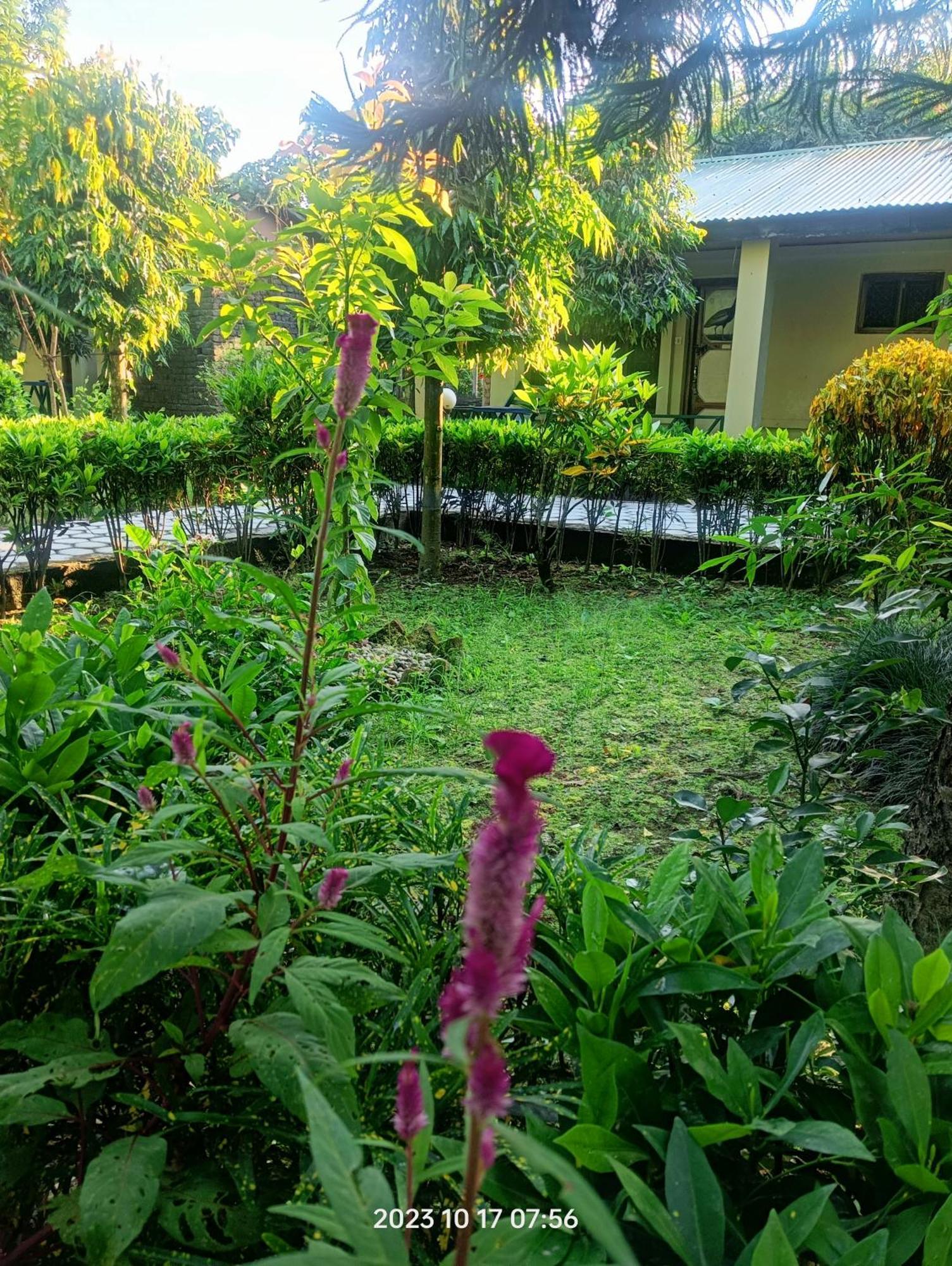 Hotel Butterfly - Peaceful Garden For Nature Lovers Sauraha Zewnętrze zdjęcie