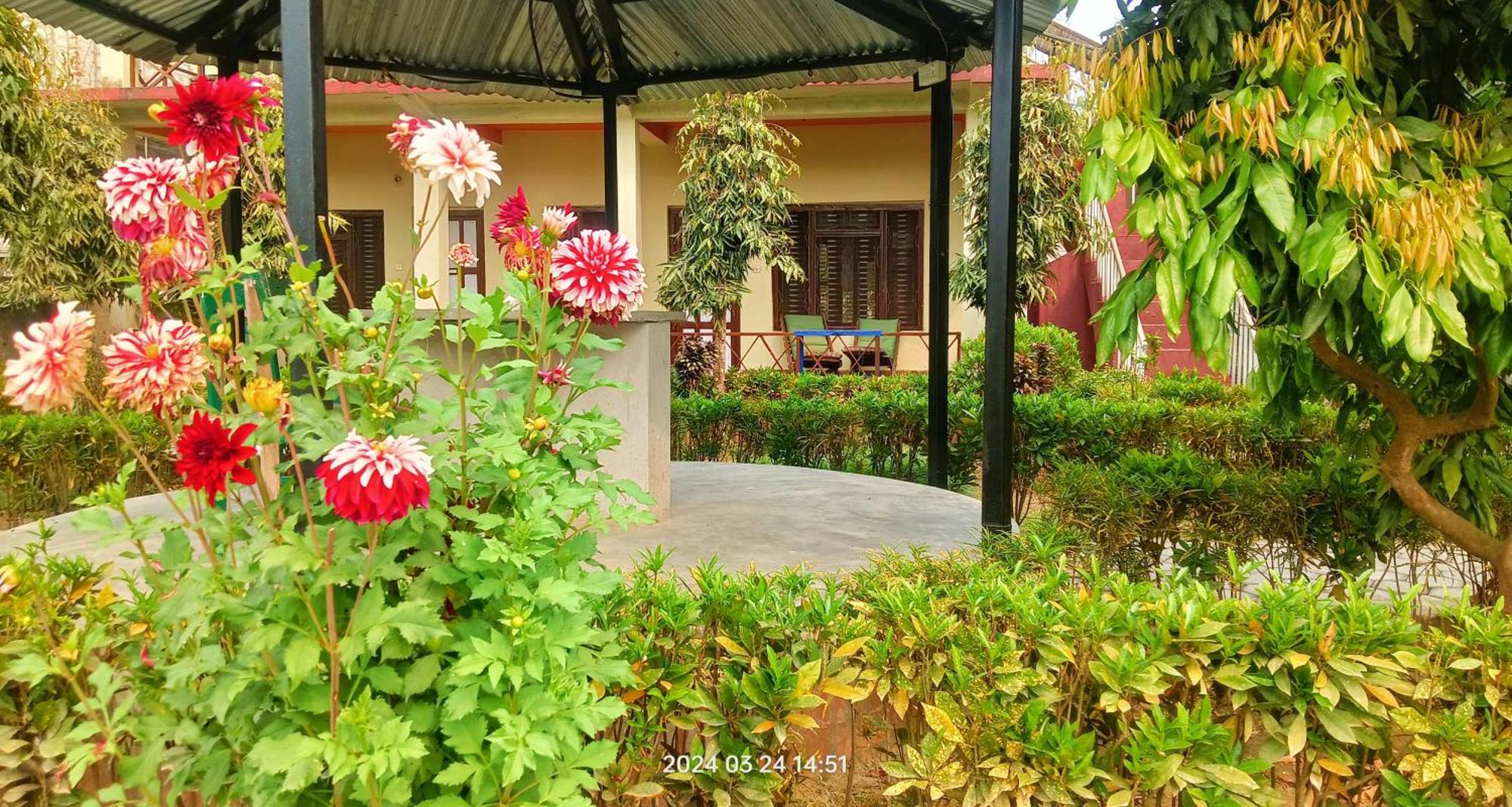 Hotel Butterfly - Peaceful Garden For Nature Lovers Sauraha Zewnętrze zdjęcie