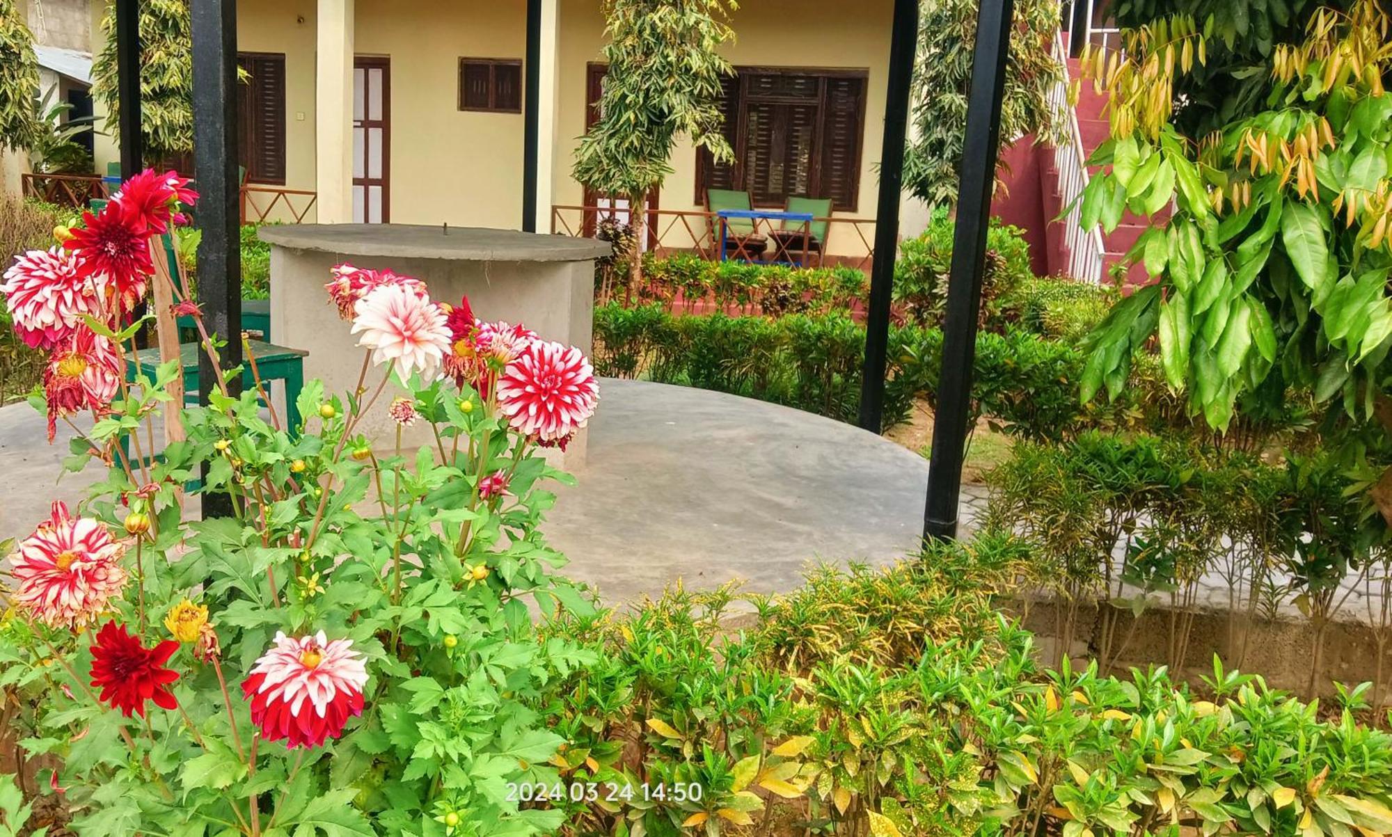Hotel Butterfly - Peaceful Garden For Nature Lovers Sauraha Zewnętrze zdjęcie