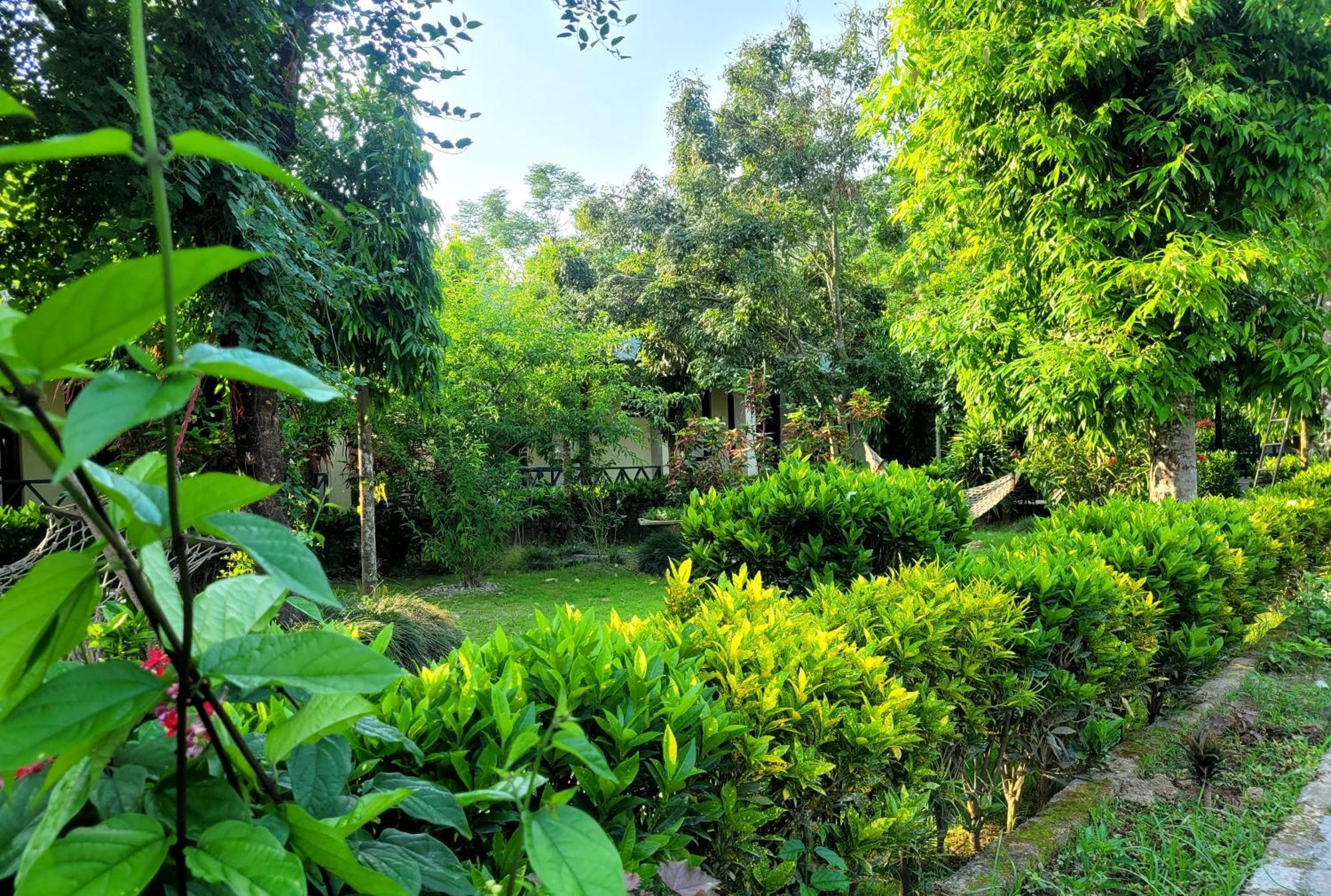 Hotel Butterfly - Peaceful Garden For Nature Lovers Sauraha Zewnętrze zdjęcie