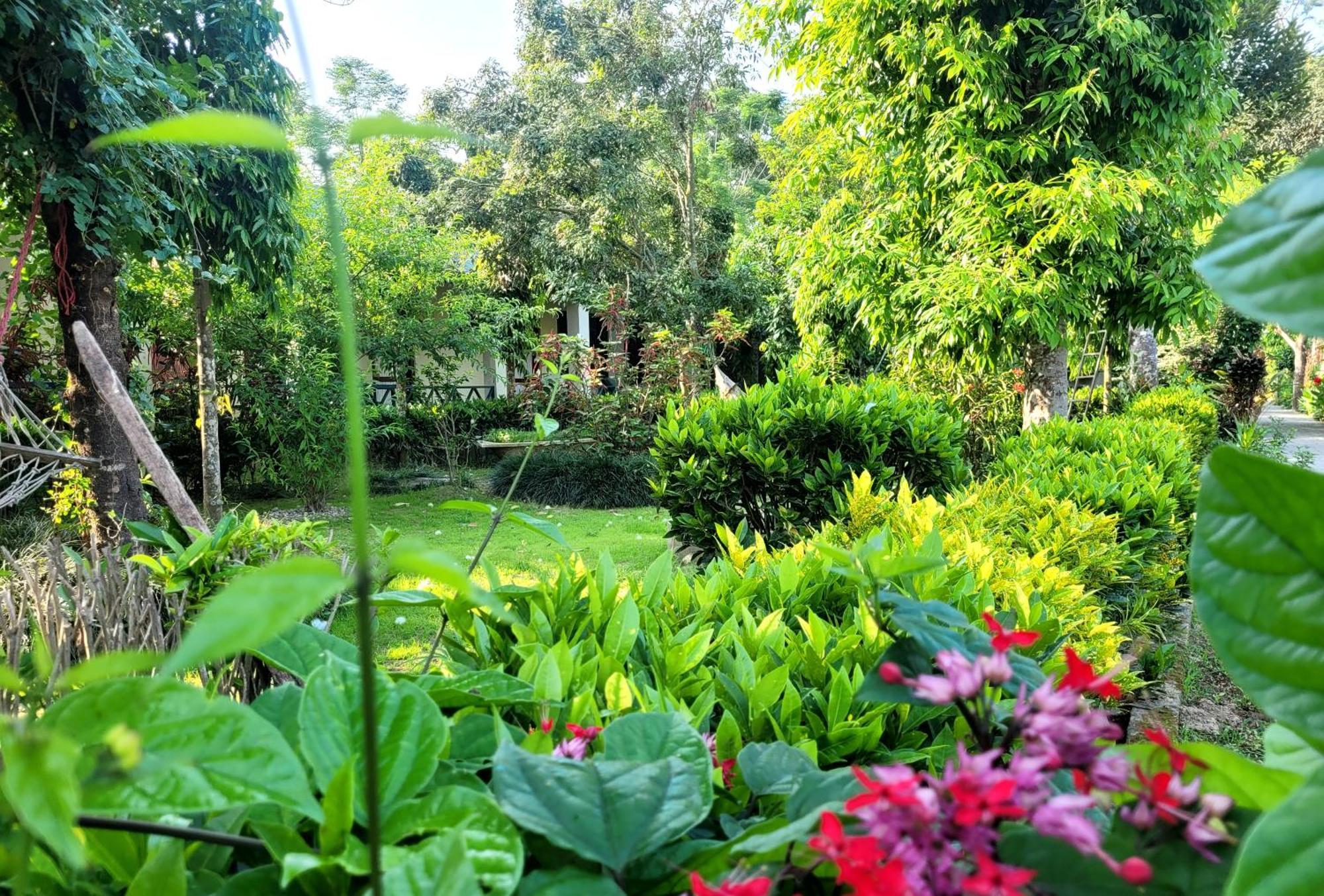 Hotel Butterfly - Peaceful Garden For Nature Lovers Sauraha Zewnętrze zdjęcie