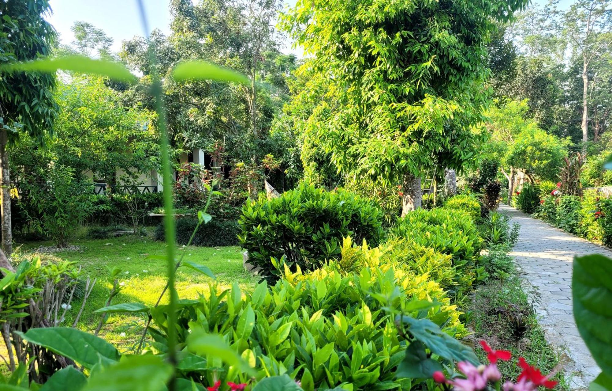 Hotel Butterfly - Peaceful Garden For Nature Lovers Sauraha Zewnętrze zdjęcie